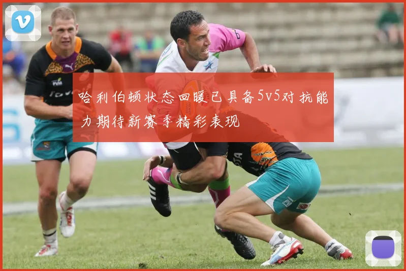 哈利伯顿状态回暖已具备5v5对抗能力期待新赛季精彩表现